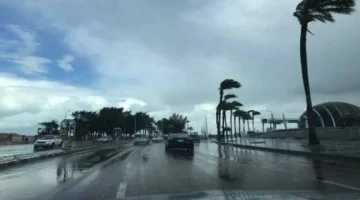 رياح نشطة محملة بالأتربة تؤدي إلى تدهور الرؤية الأفقية خلال الأسبوع